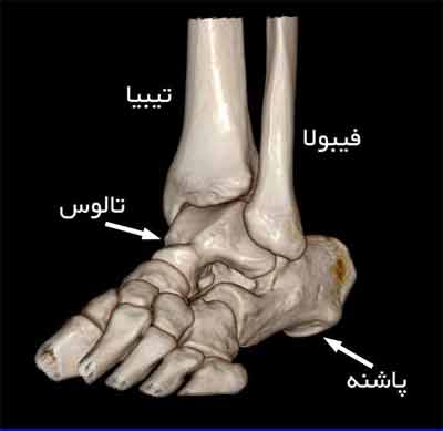 ورزشهای چاقی مچ پا