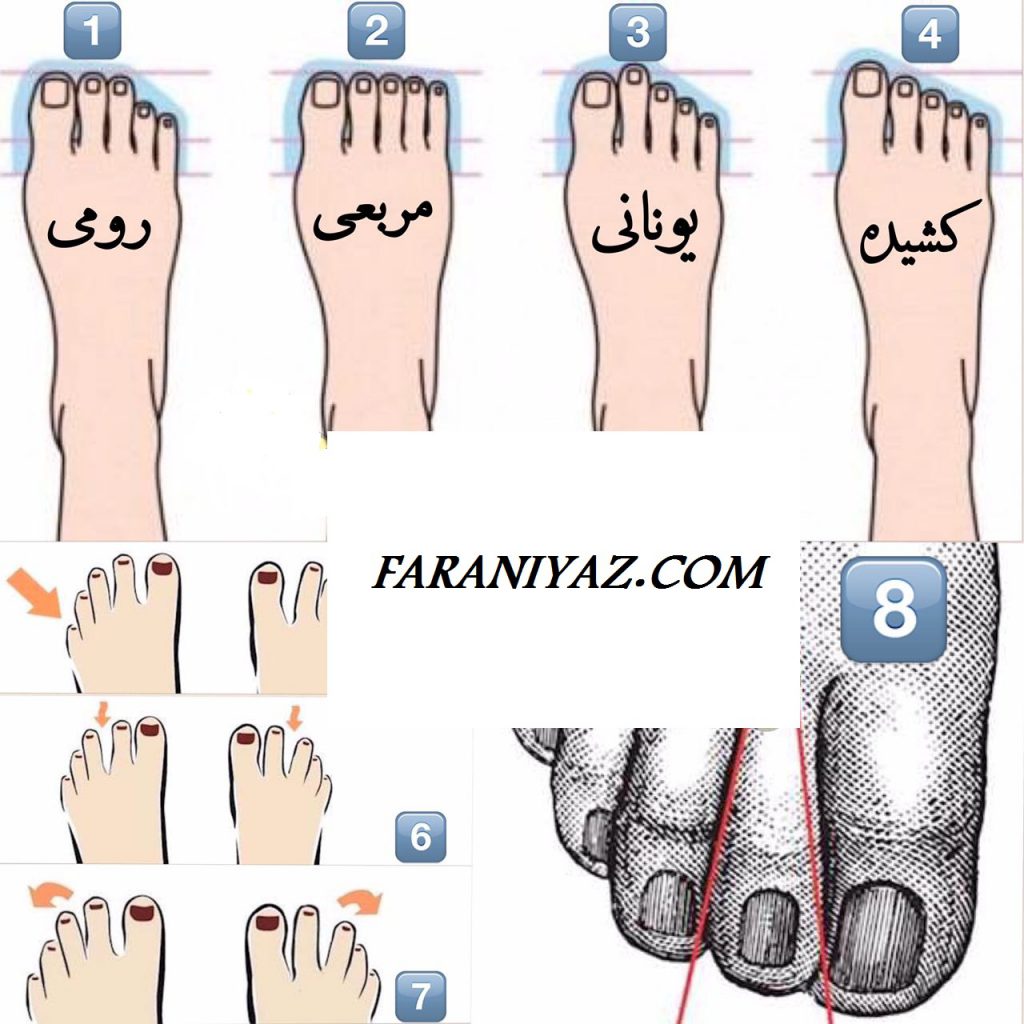 شخصیت شناسسی افراد از روی انگشت پا