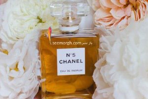 گرانترین عطرهای محرک ر این مطلب با 5 برند معروف عطر که جزو گرانترین ها هستند