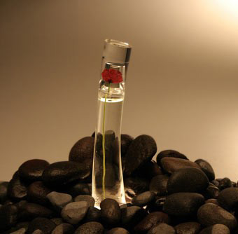باکلاس ترین عطرها برای زنان ومردان خوش سلیقه با رایحه ای خوش 