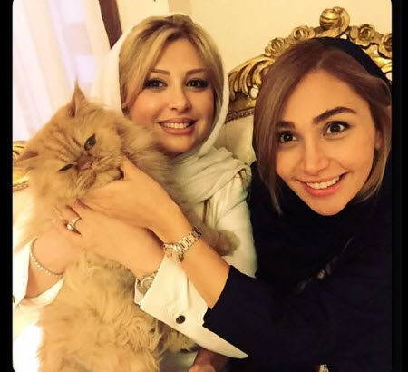 بیوگرافی نیوشا ضیغمی