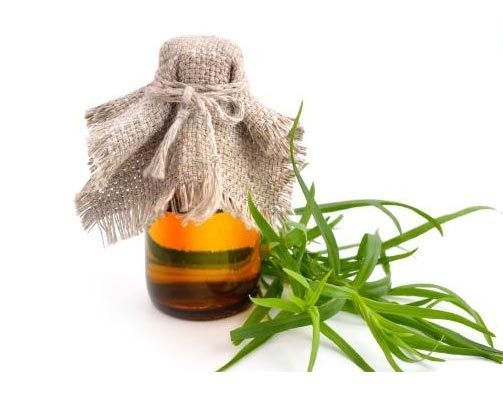 خواص روغن ترخون