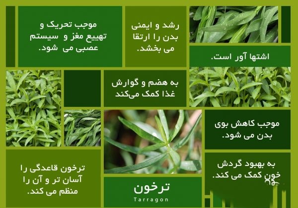 خواص روغن ترخون