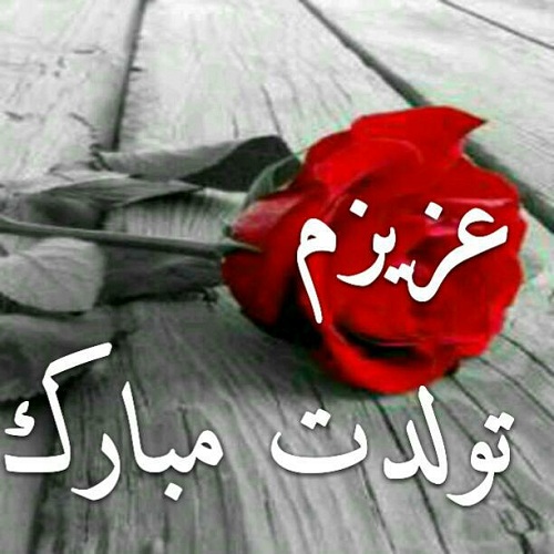 عکس پروفایل تولد ، عکس پروفایل جدید در پورتال جامع فرانیاز فراتر از نیاز هر ایرانی