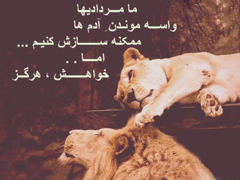 نکات مهم برای کدبانوگری در پورتال جامع فرانیاز فراتراز نیاز هر ایرانی .