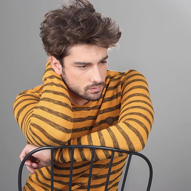 الپ ناوروز