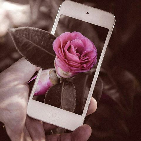 عکس پروفایل شیک ،عکس های خاص در پورتال جامع فرانیاز فراتر از نیاز هر ایرانی