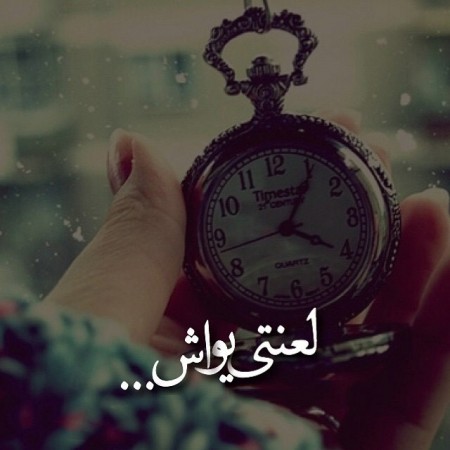 بیوگرافی گلشیفته فراهانی