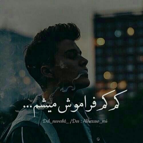 بیوگرافی گلشیفته فراهانی
