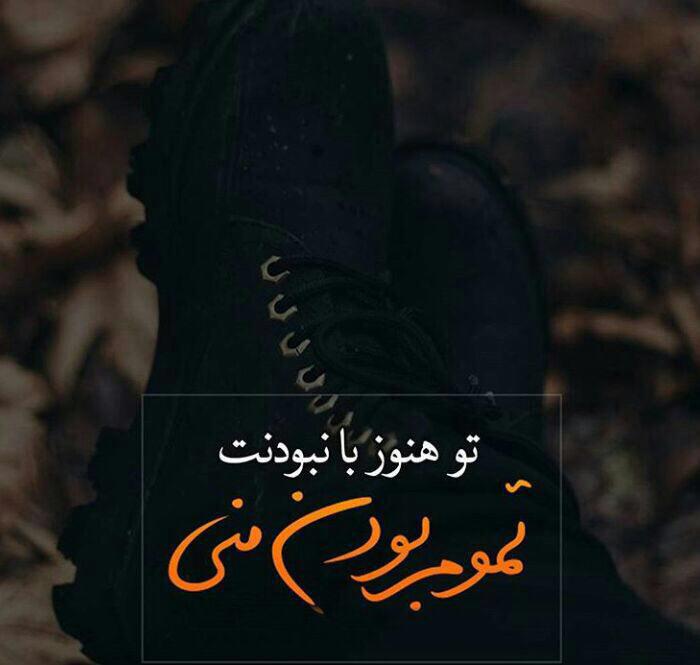 بیوگرافی گلشیفته فراهانی