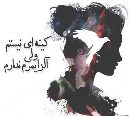 عکس پروفایل جدید ،عکس های 2017 در پورتال جامع فرانیاز فراتر از نیاز هر ایرانی