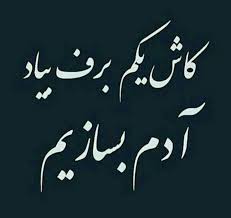 بیوگرافی امین حیایی