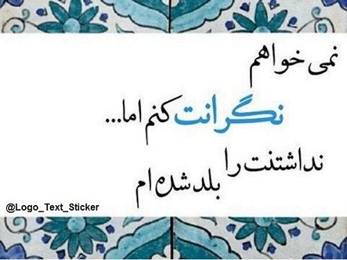بیوگرافی امین حیایی