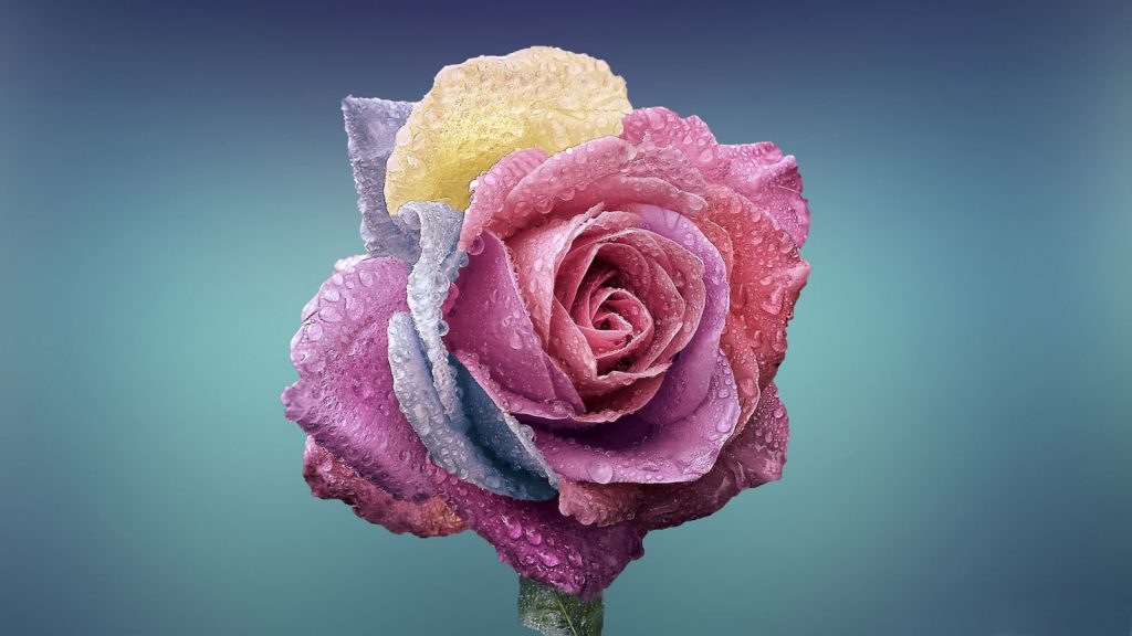 زناشویی موفق