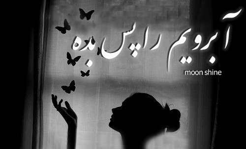 بیوگرافی بازیگران سریال بازگشت به خانه در پورتال جامع فرانیاز فراترازنیاز هرایرانی