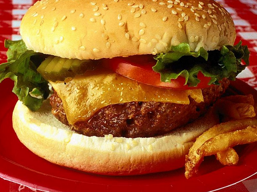 فست فود رژیمی و طرز تهیه ان در پورتال جامع فرانیاز فراتر از نیاز هر ایرانی