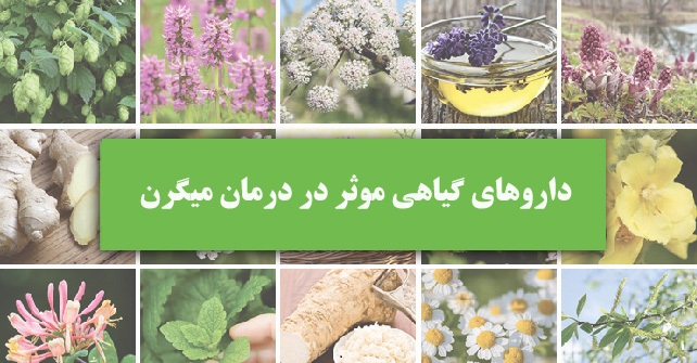 میگرن و درمان با طب سنتی گیاهی