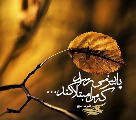 عکس نوشته های پاییزی در پورتال جامع فرانیاز فراتراز نیاز هر ایرانی .