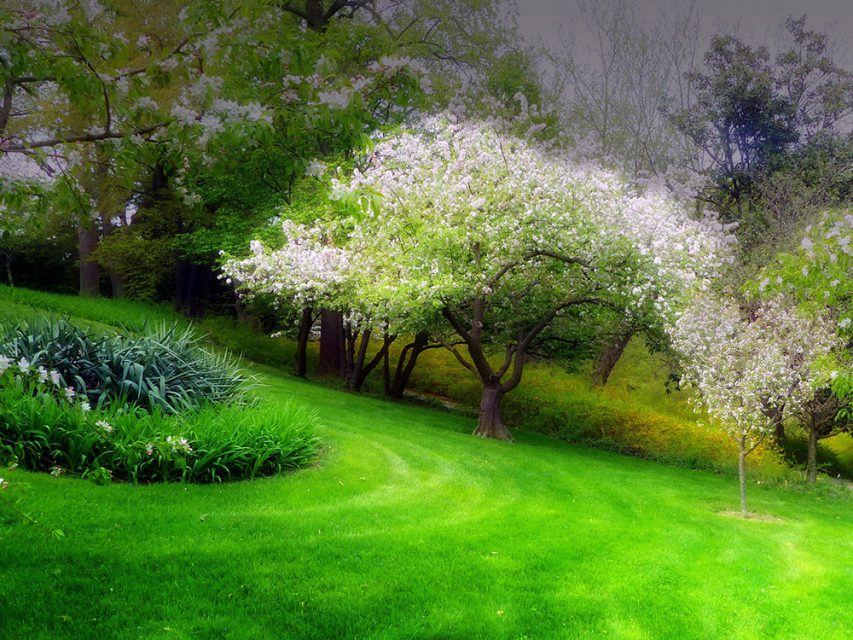 عکس پروفایل طبیعت