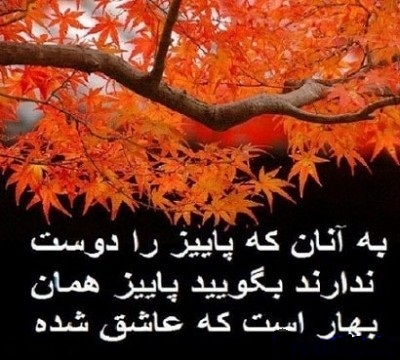 عکس نوشته های پاییزی در پورتال جامع فرانیاز فراتراز نیاز هر ایرانی .
