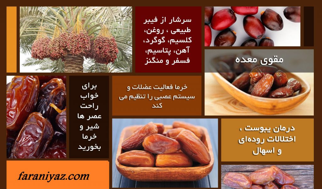 خواص خرما و انواع ان