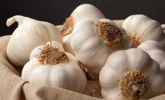 خوراک مرغ و قارچ رژیمی