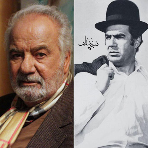 بیوگرافی ناصر ملک مطیعی
