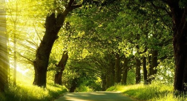 عکس پروفایل تابستانی