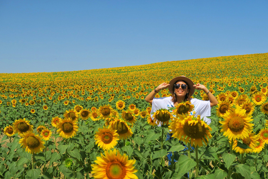عکس پروفایل تابستانی