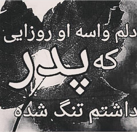 درگیری بخاطر رژیم گیاهی