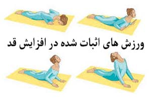 ورزش افزایش قد بالغین