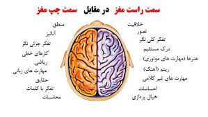تست اندازه گیری فعال بودن نیم کره مغز