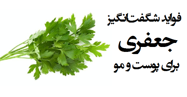 سمبوسه گیاهی رژیمی در پورتال جامع فرانیاز فراتر از نیاز هر ایرانی باماهمراه باشید.