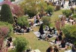 آداب و رسوم ۱۳ فروردین