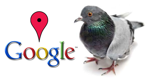 الگوریتم کبوتر گوگل در پورتال جامع فرانیاز فراتر از نیاز هر ایرانی .باما همراه باشید